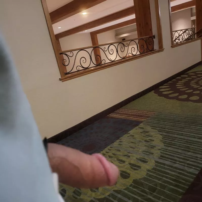 Exploring the hotel  posted by Sea-Book9500