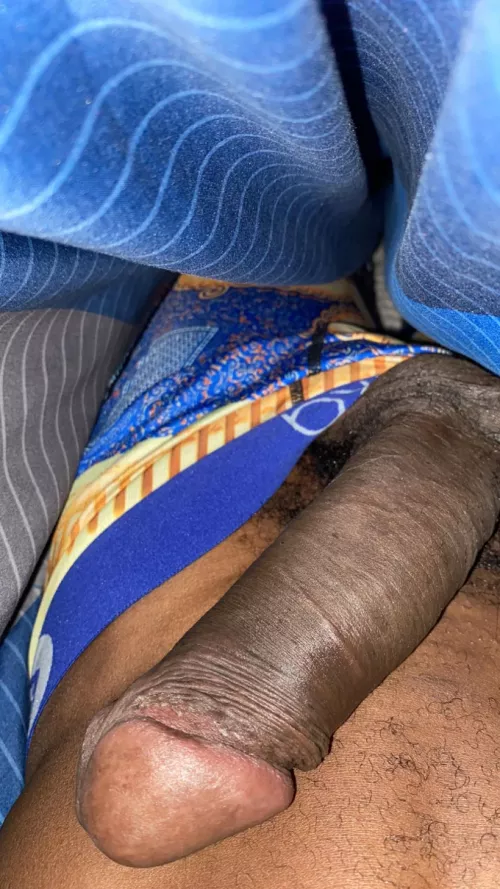 Good morning ride and shine  by CoyoteSignificant657