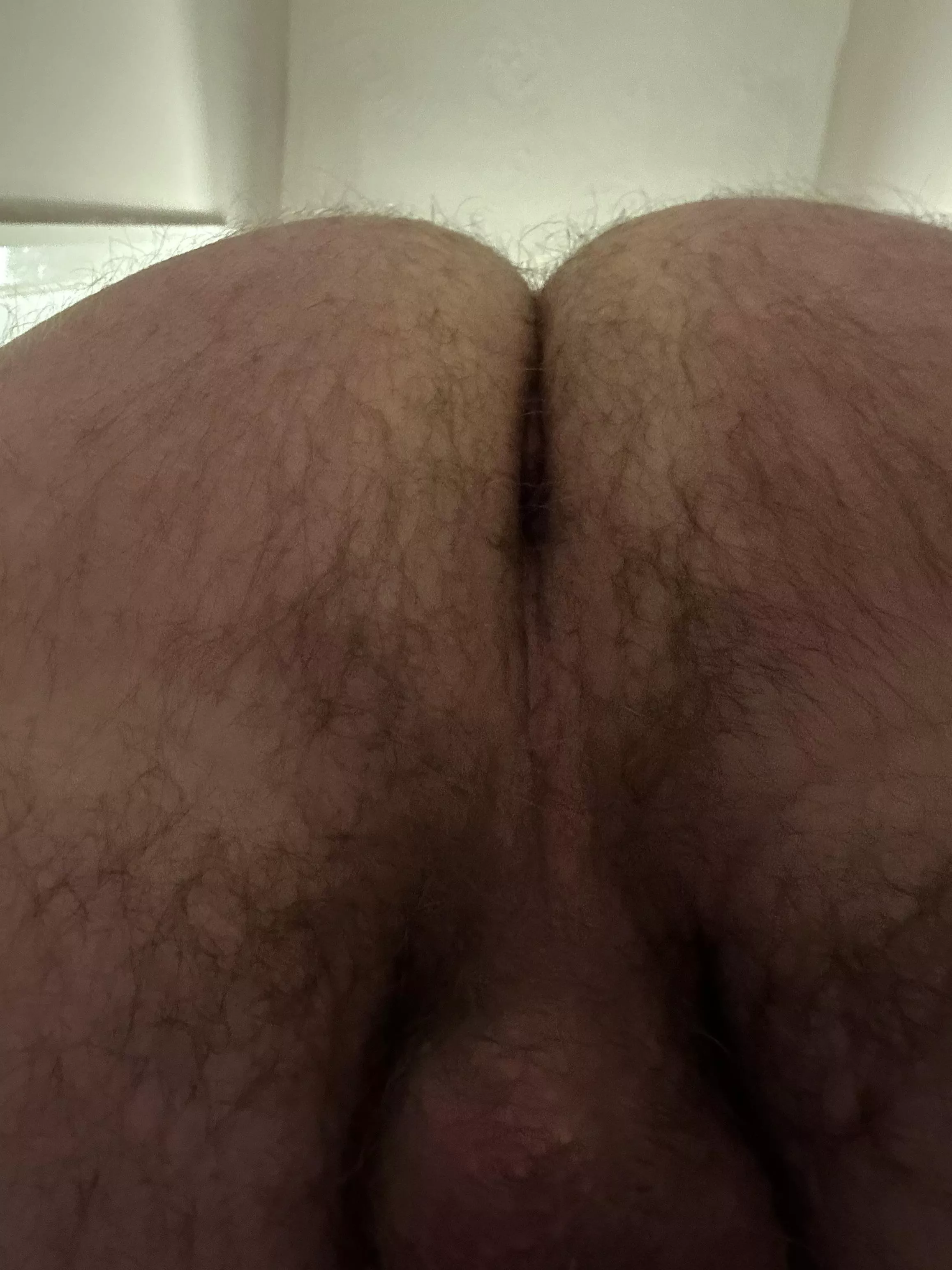 Hairy enough? (46) posted by Loon1976