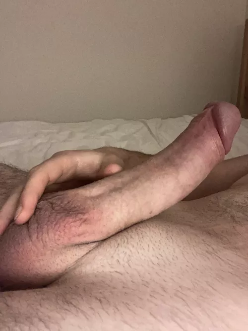 Hello there by Small_Print_1284