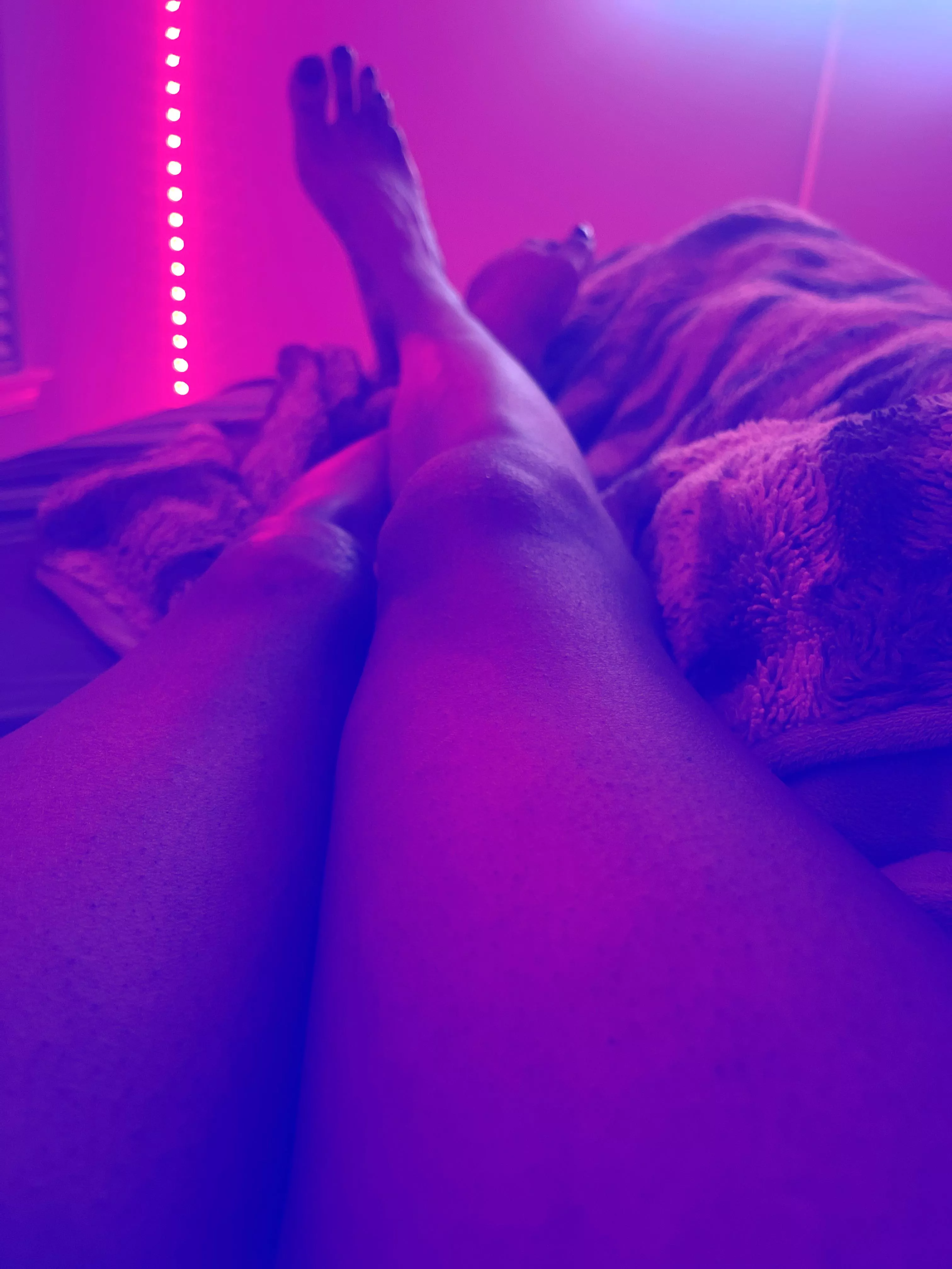 I need a worshiper 🦄.  posted by 88buss