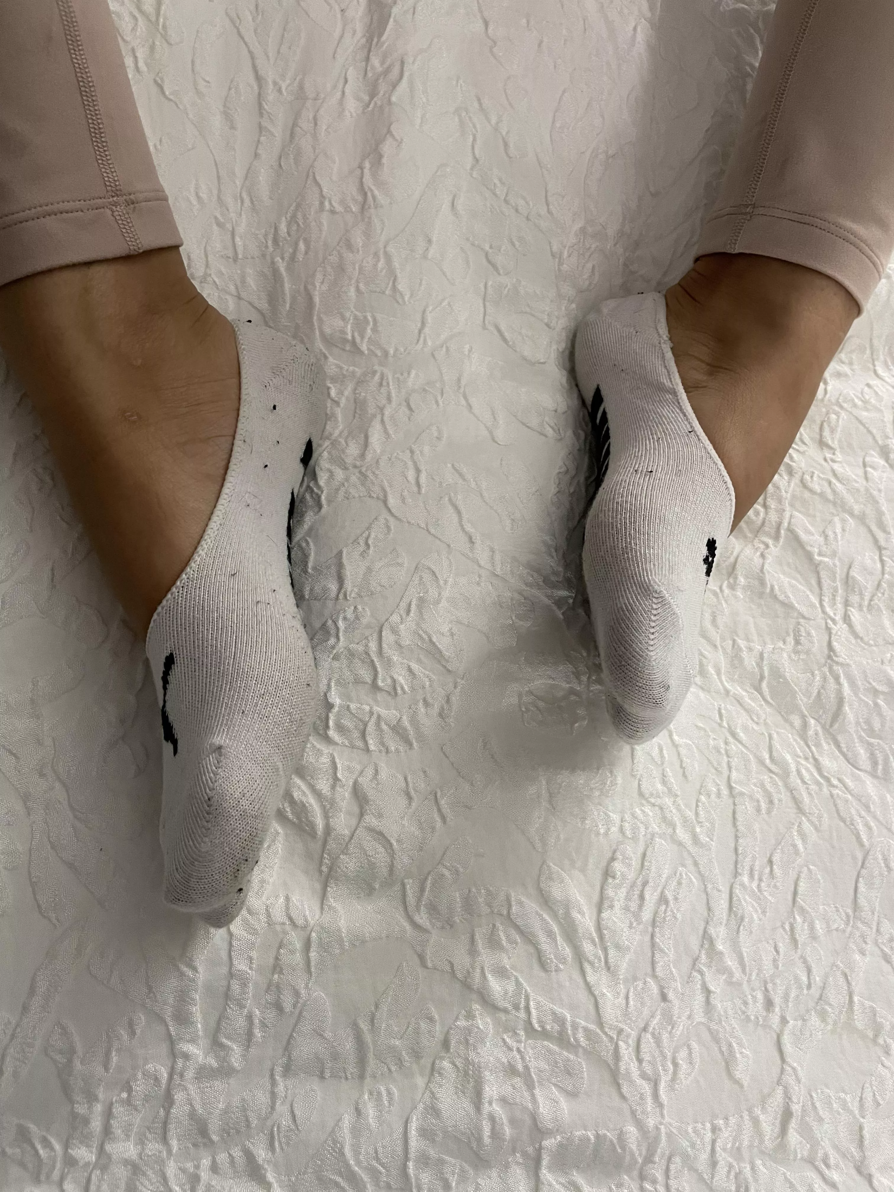 I want my socks sniffed posted by aqwa_audra