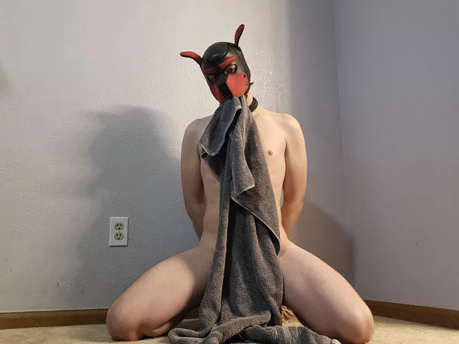 Is Towel Tuesday a thing on reddit? by FoxSnickers