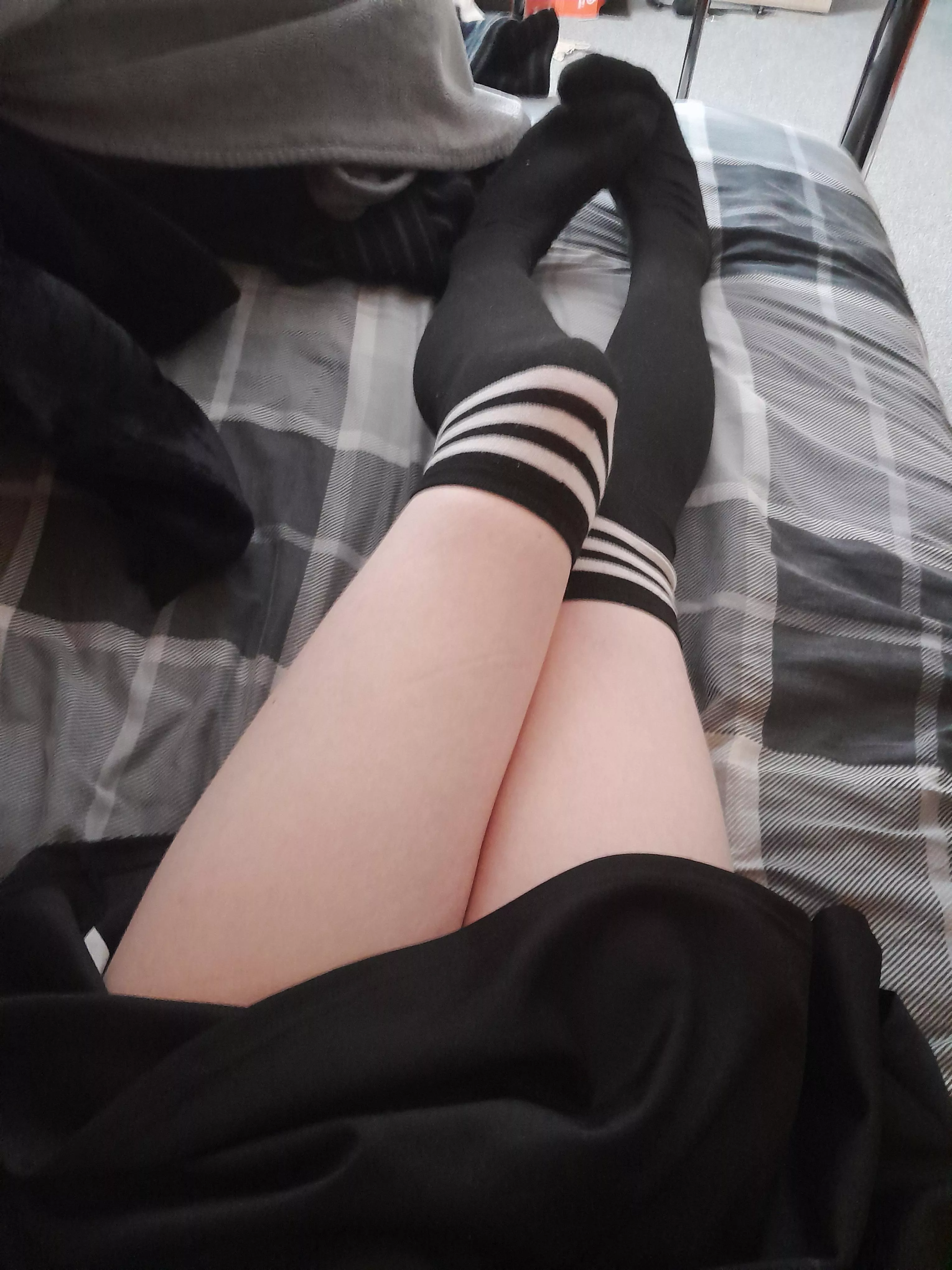 Meow :3 posted by CrownDynamite30