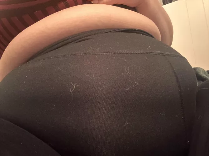 my swollen belly is too much for my waistband by guttslut