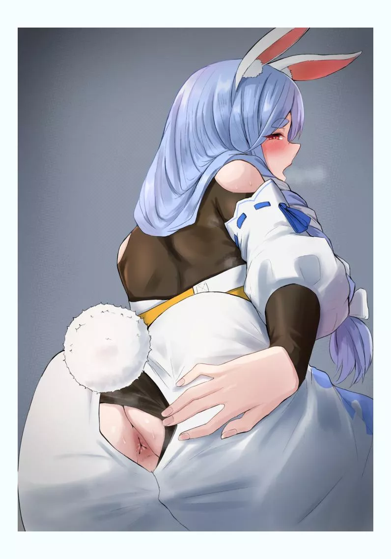 Pekomaja (yilan un) posted by Responsible_Cry7089