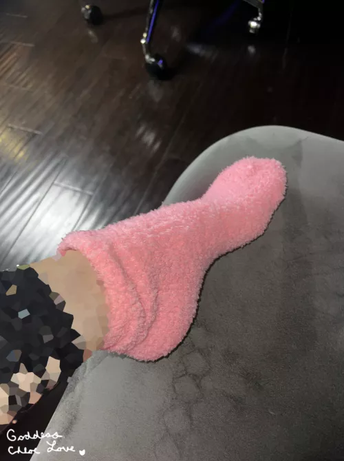 Pink fuzzy socks for hump day [F]23 by Goddess_ChloeLove