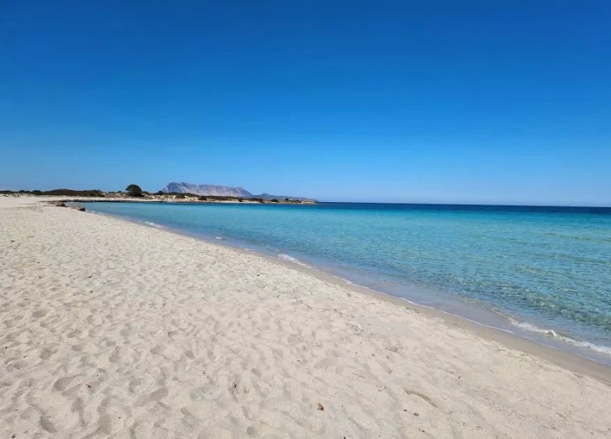 Sardinia Italy posted by DVLyte