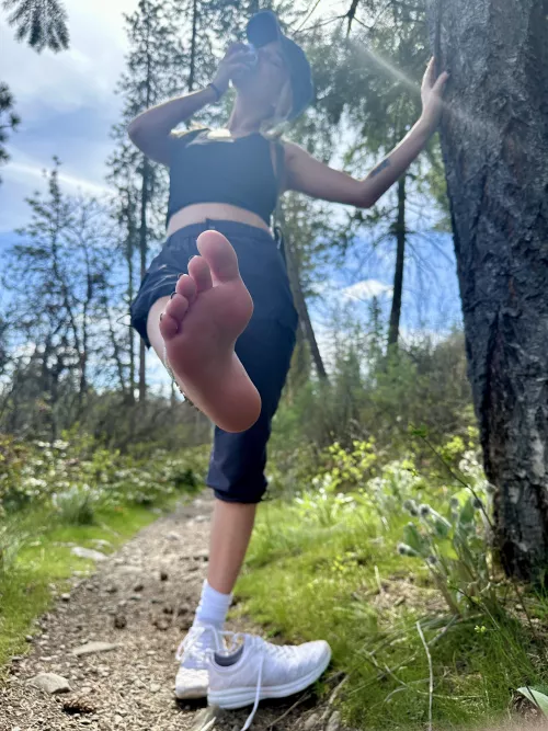 Stopped in the middle of my hike to smell my stinky feet, if you walked by I would let you smell them too 🏔️ ☀️ 🌲  by CosmicStarlight