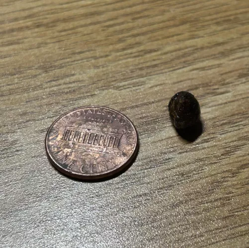 Wasn’t hearing great out of my left ear until… by Joshymo