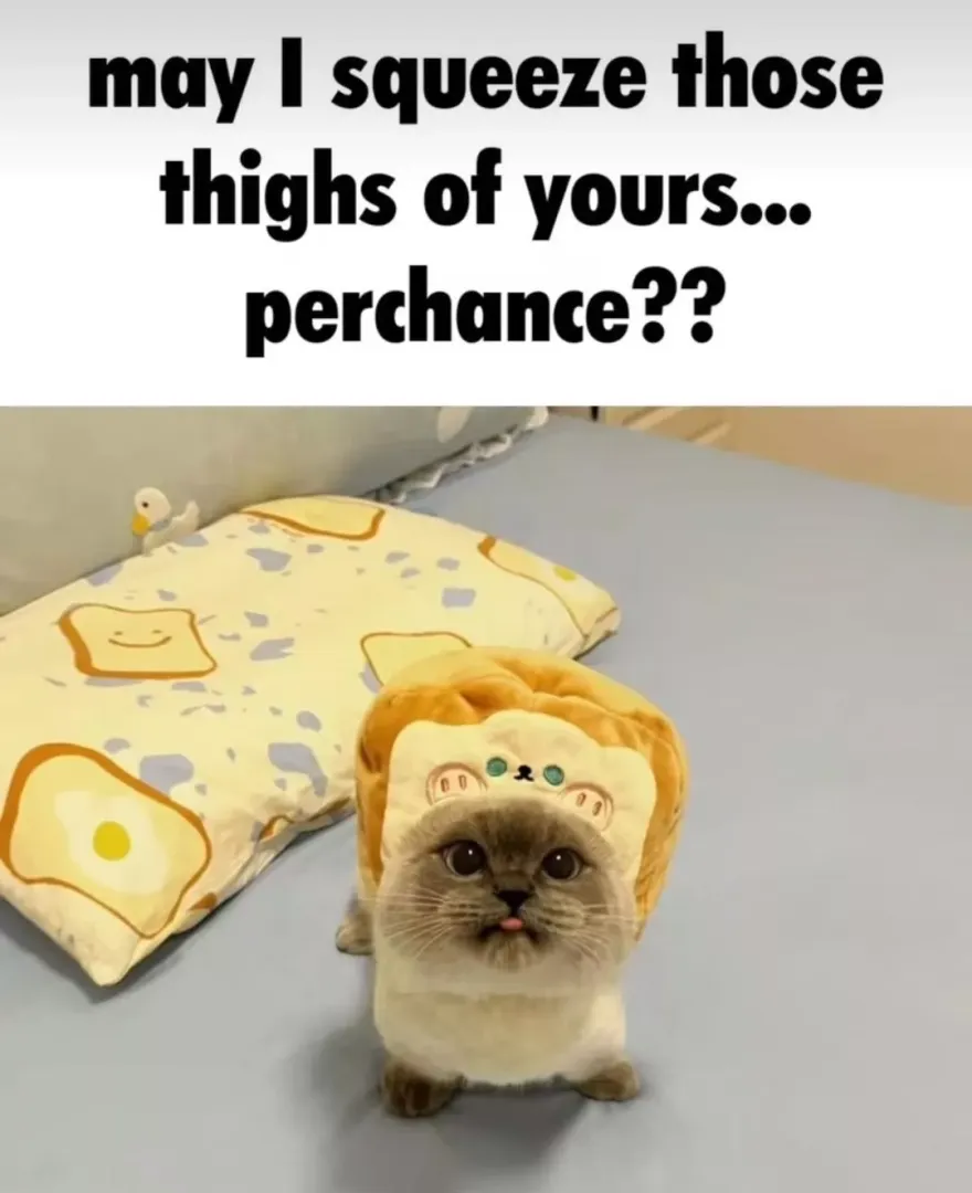 What'd I'd look like asking my gf if I could squeeze, if I had one posted by -SecretAltAccount-