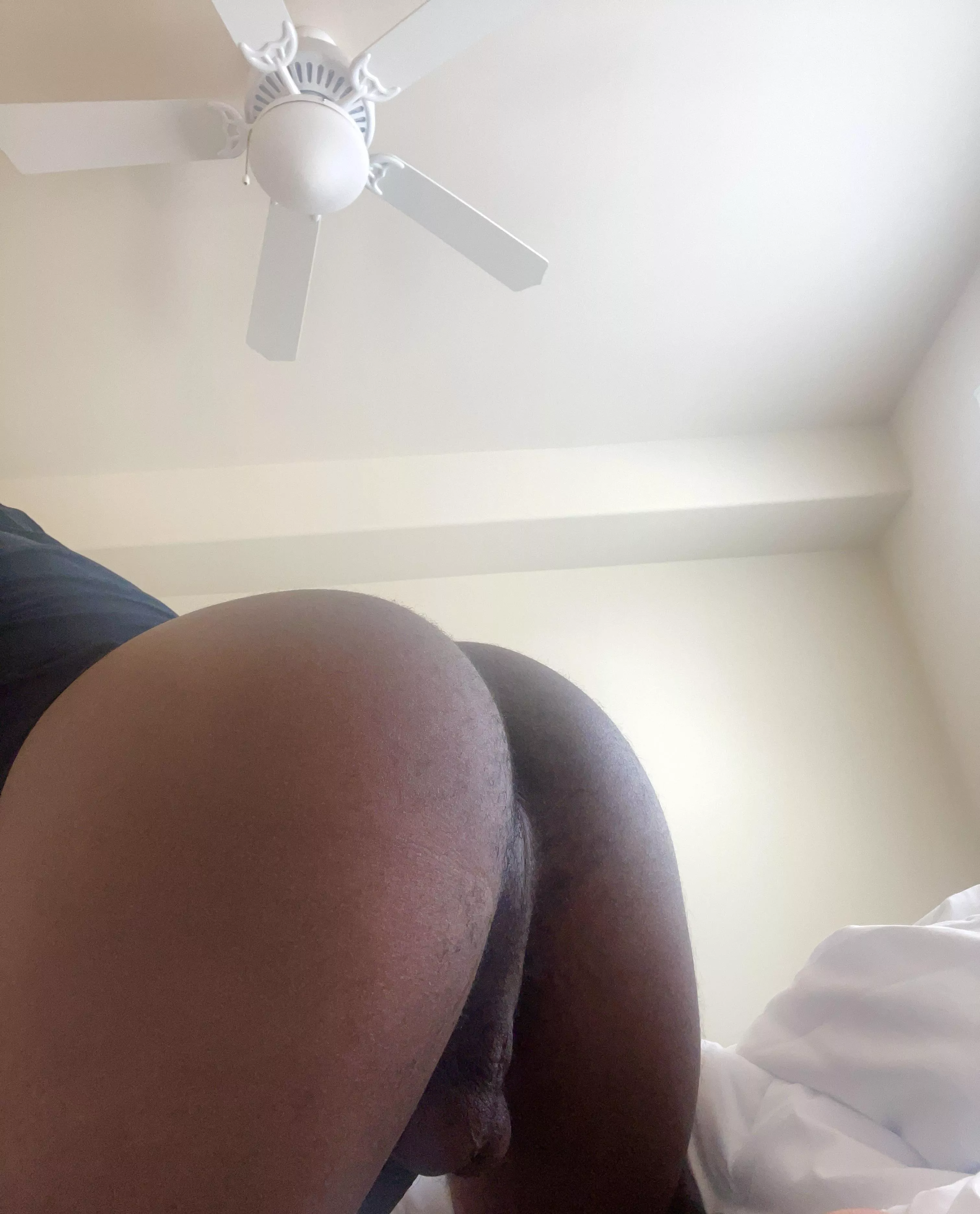 Who’s gonna break me in? posted by Old_Apartment9398