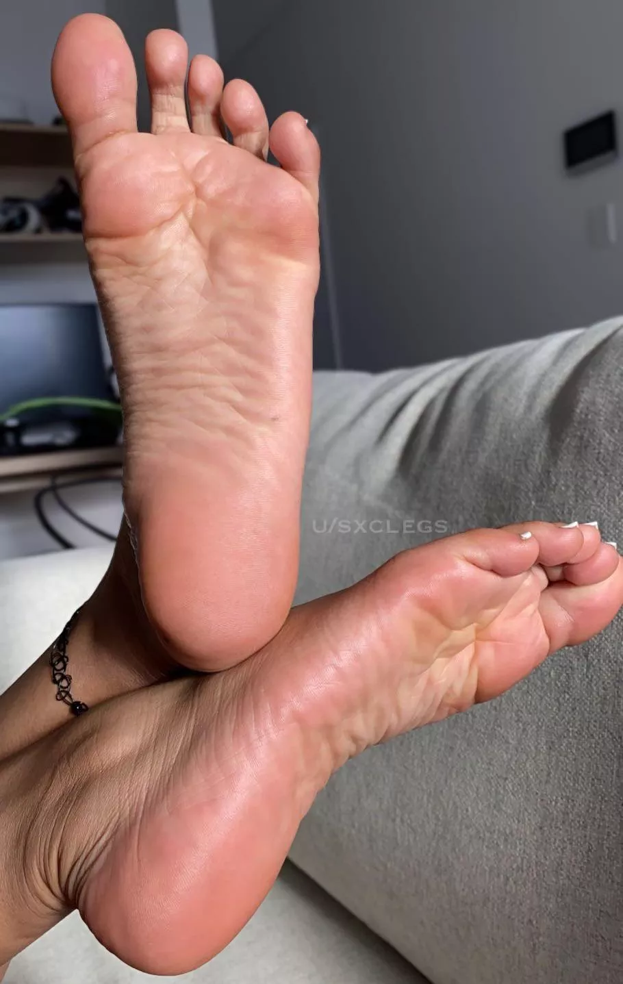 Wrinkled Wednesday  posted by Sxclegs