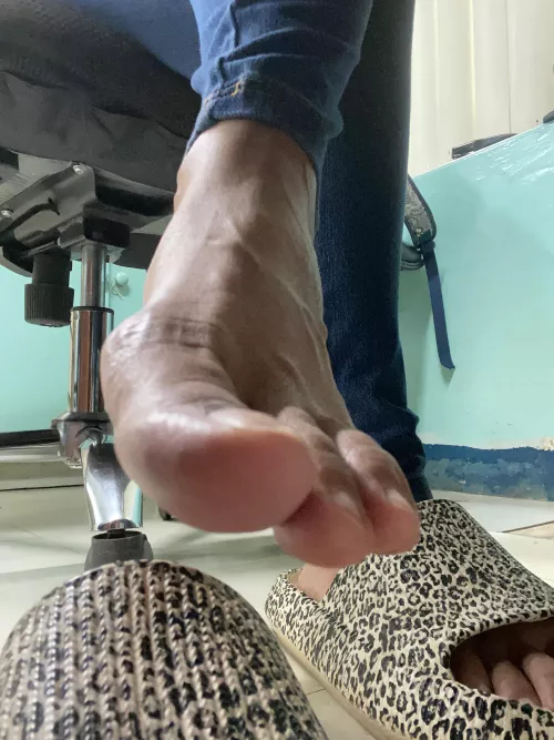 Your view. Beautiful, ain’t it? I bet you wanna live under my desk. 😏  by Biratkahang