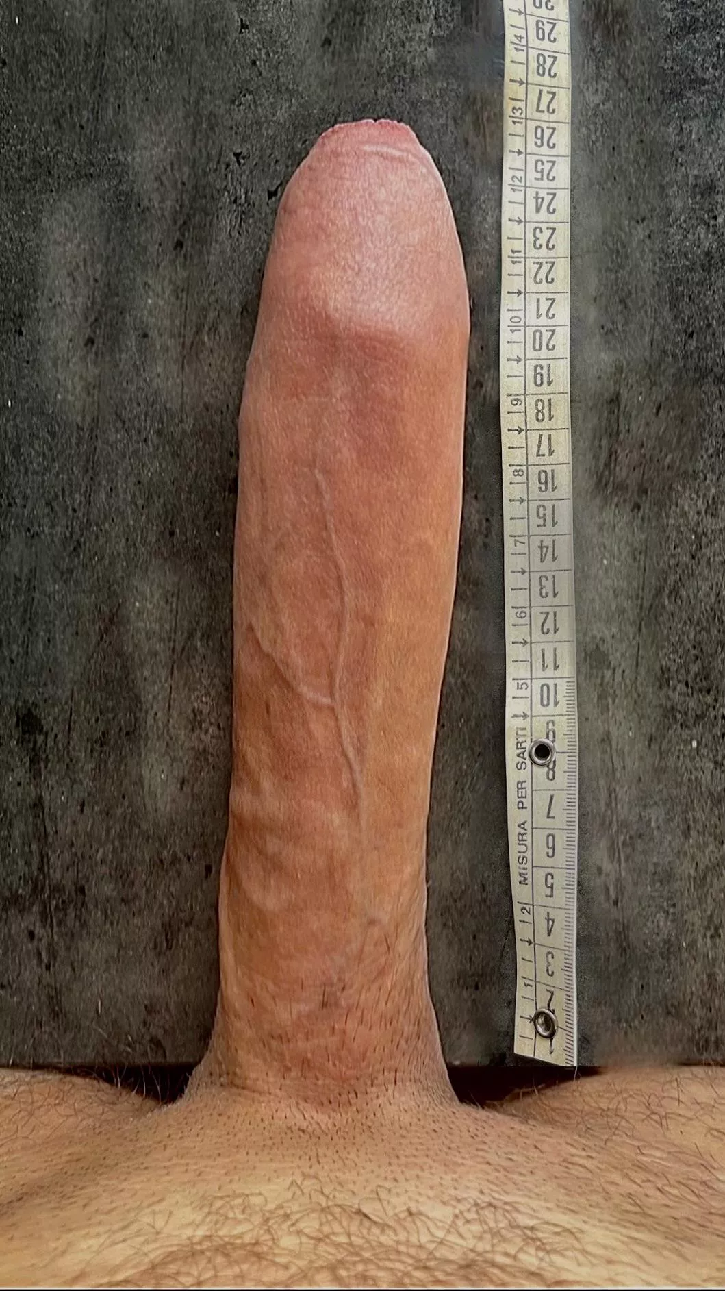 10 inch cock posted by Fit-Vegetable492