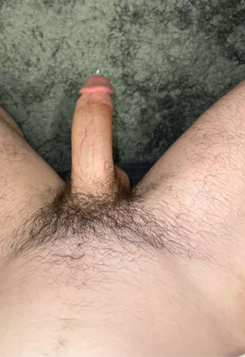18 m. horny af.. anyone add. finn236785 by Top_Dealer_2290