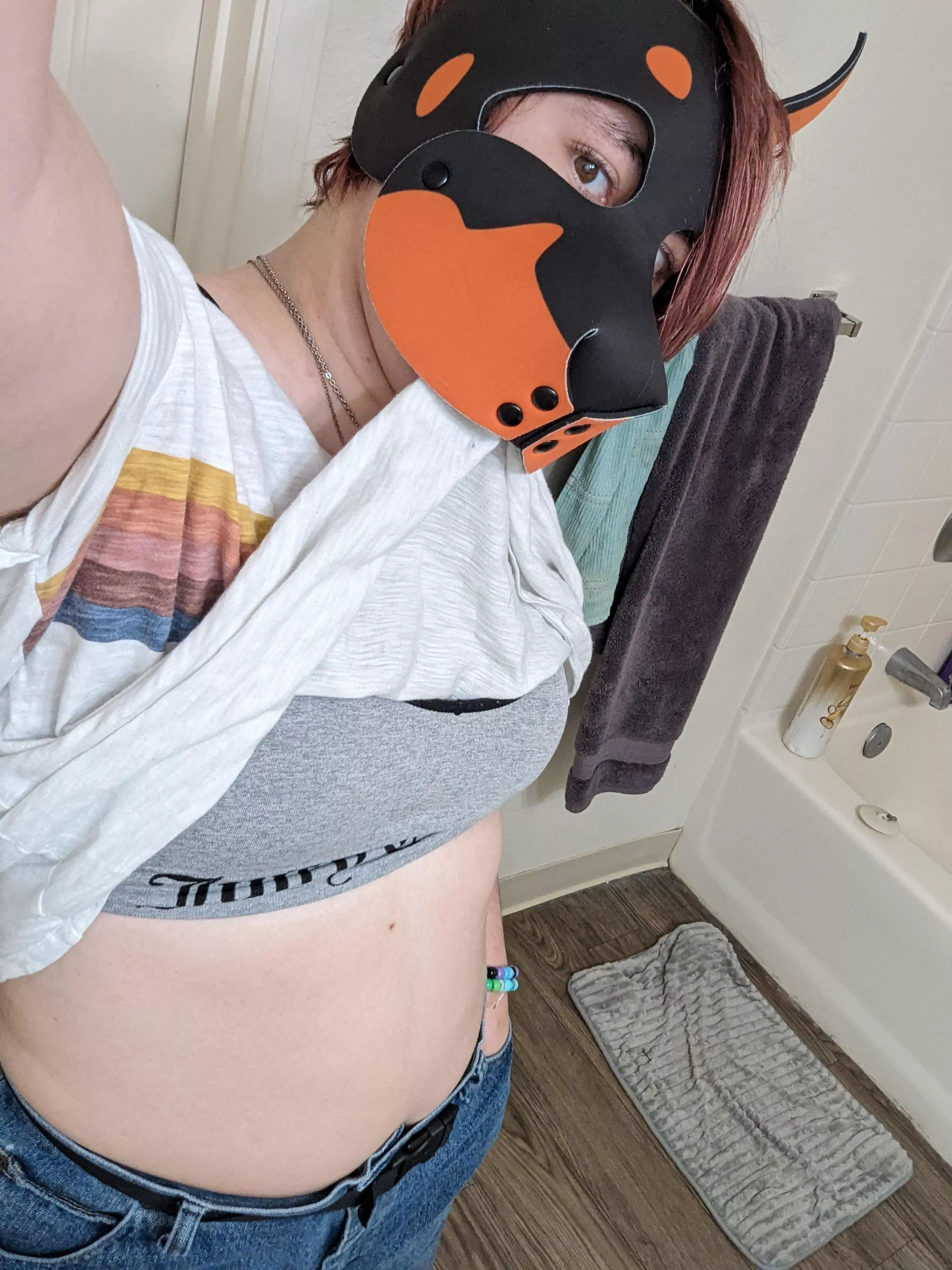 arf!  posted by pup-atlas-