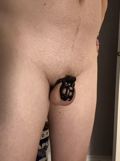 Caged for bed then off on vacation tomorrow  by burlboy13