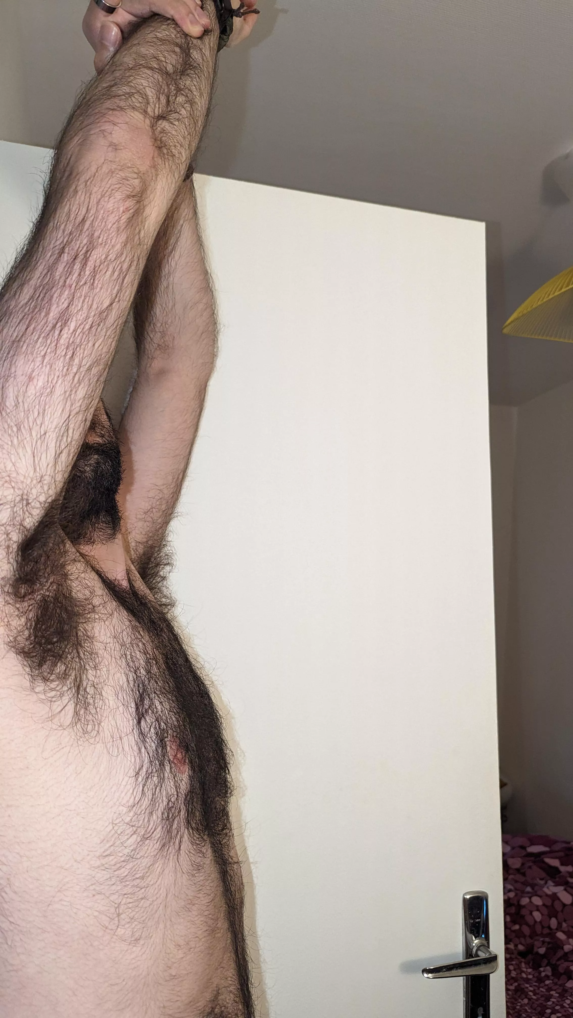 Furry-tale posted by Anxious_Ananas_643