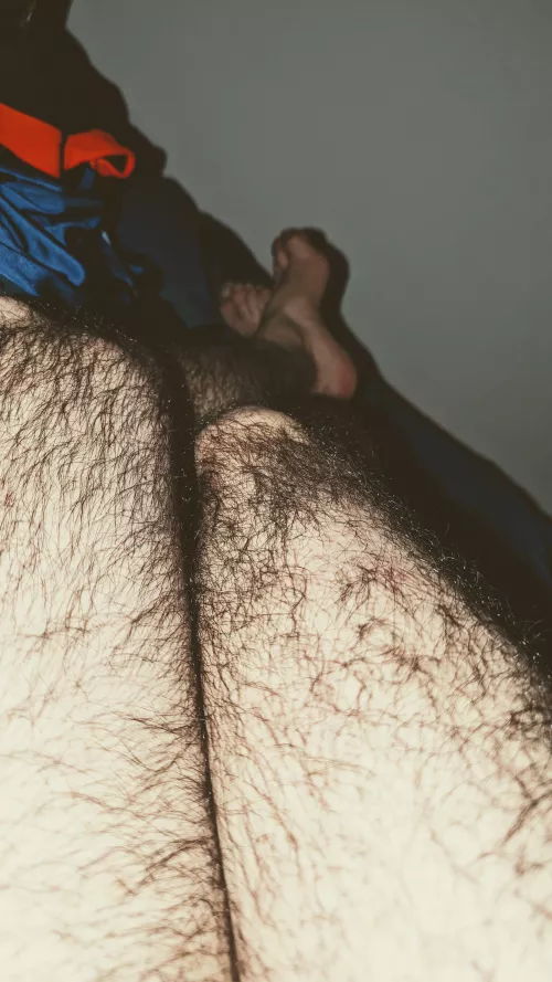 Hairy legs. by Anxious_Ananas_643