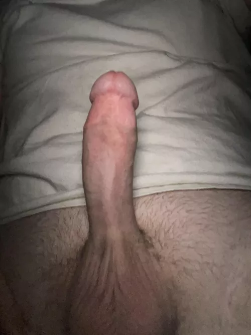 If you were my neighbor wwyd? by That_one_Honda