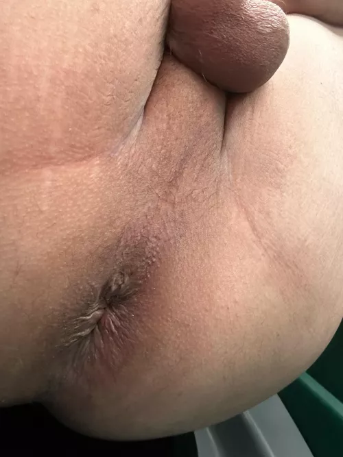 Is it cute? by Adventurous-Corgi389