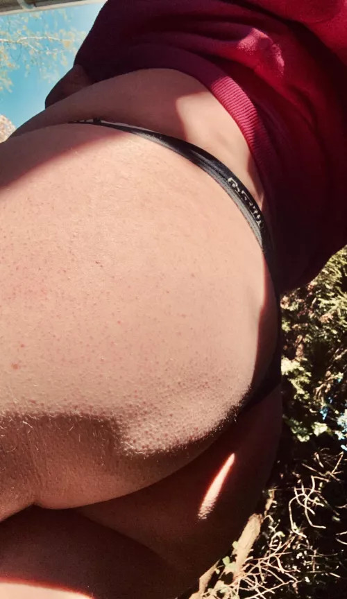 Is that an eclipse? Nope, my ass! by Icy-Voice2372