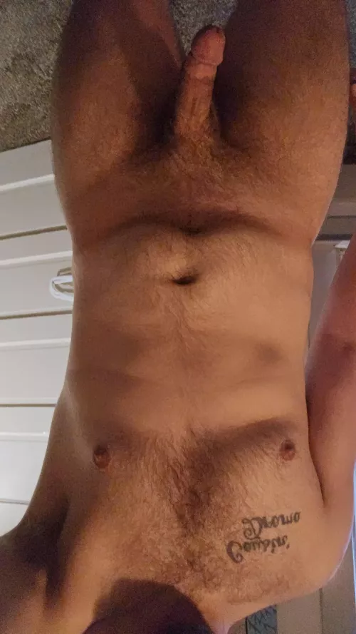 Morning  by Fickle_Lion5620