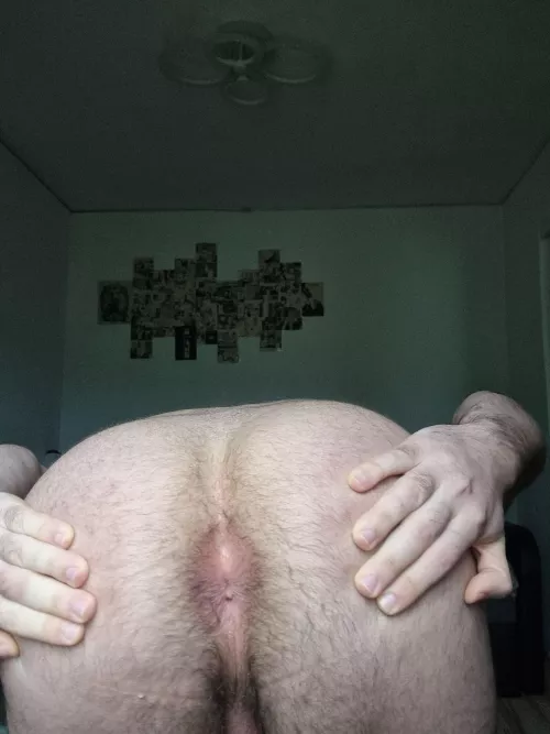 My gf doesn't wanna eat my hairy ass, should I switch to guys? by collegegymbro2