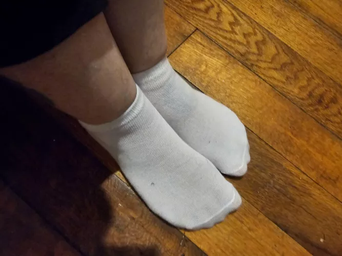 These are a tad small  by KatsLuckyPaws