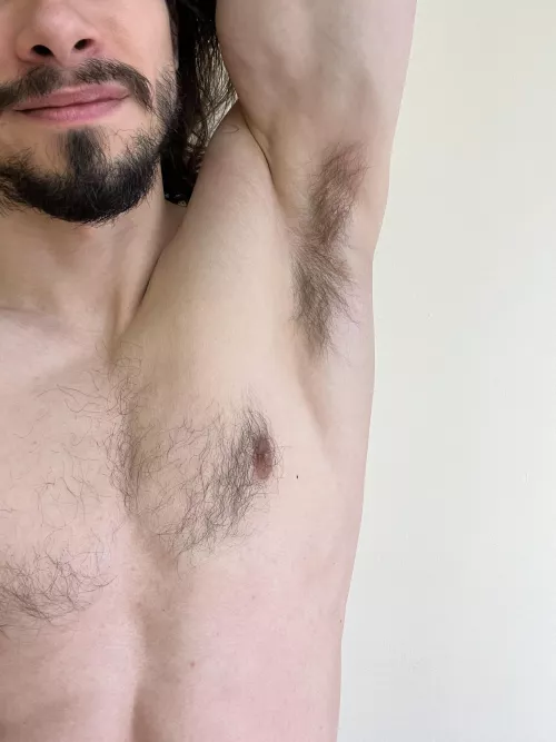 Today you can have it all by Alittlecock