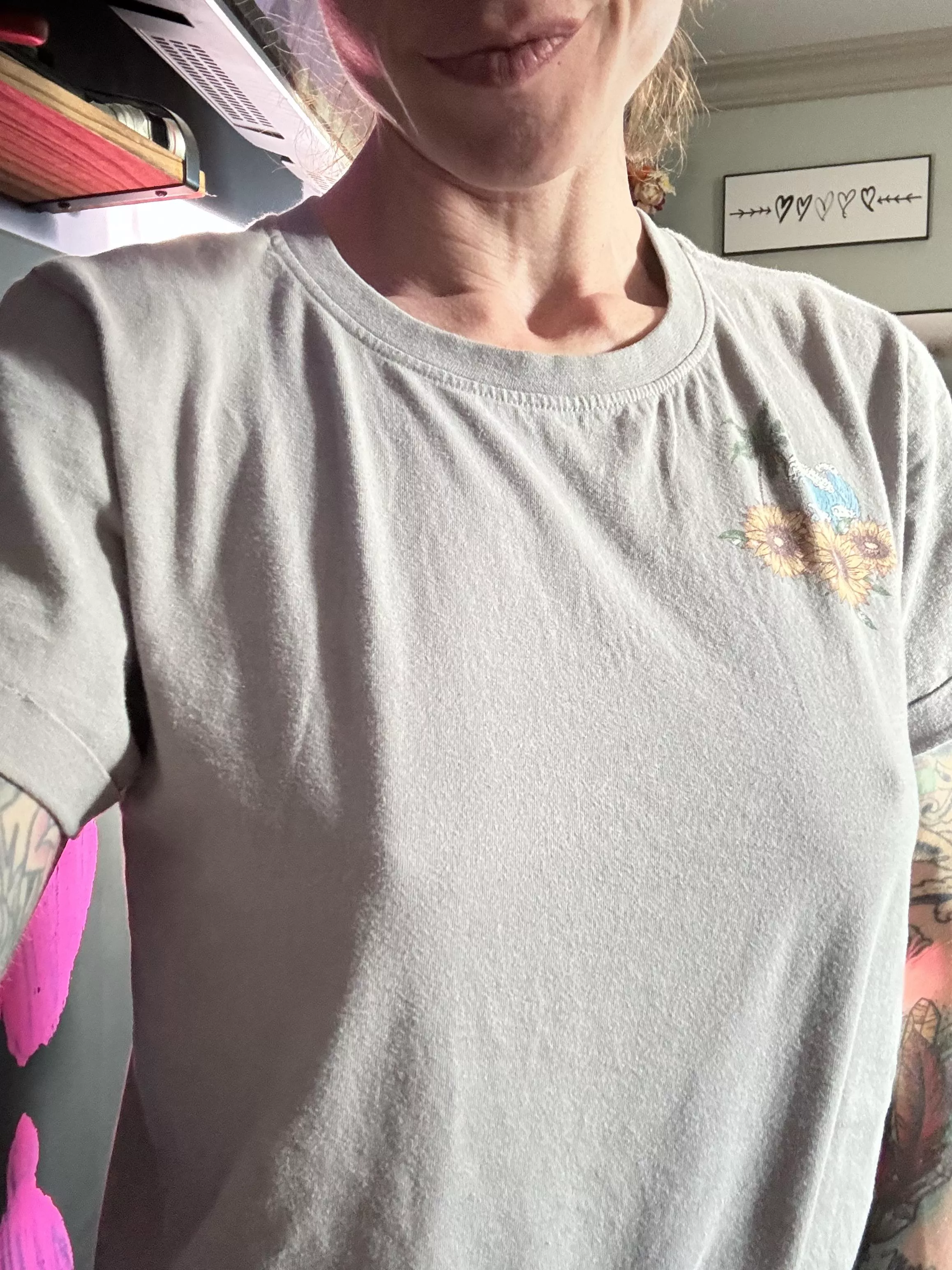 T-shirt day, always with pokies.  posted by that_Libra