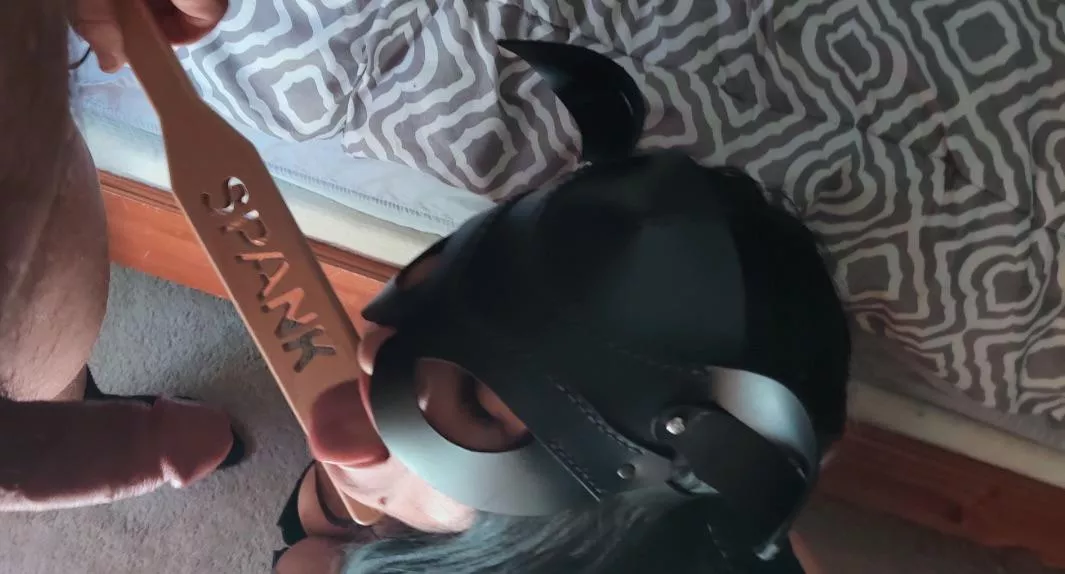 Who else wants this treatment?  posted by BluNkitty