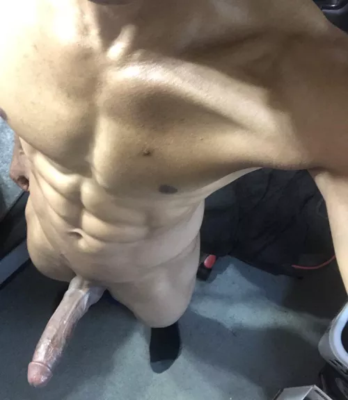 Who let the Dogs out? 🐺🐾🤔 by thebig1xxx