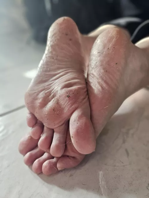 Who wants to clean them for me  by KatsLuckyPaws