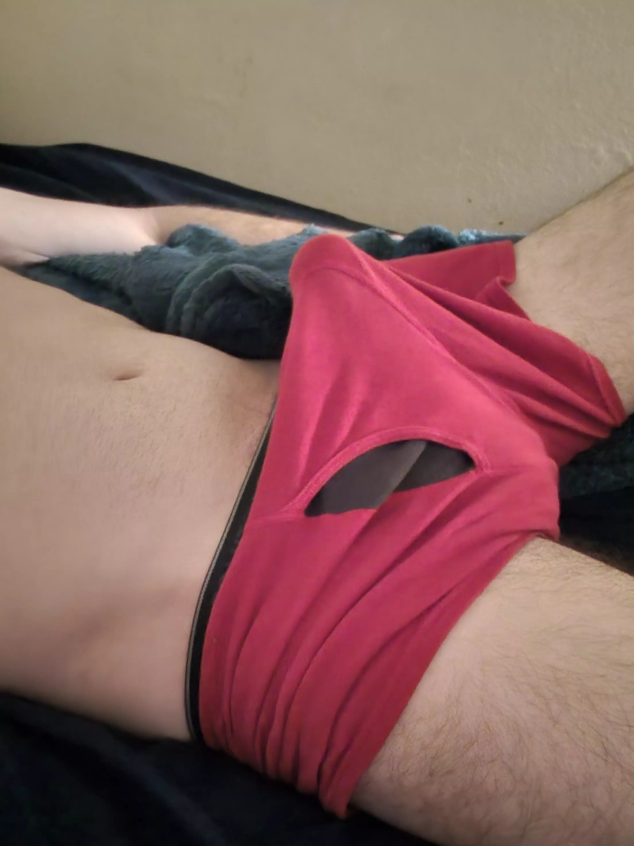 Bulge time  posted by SilverBeams