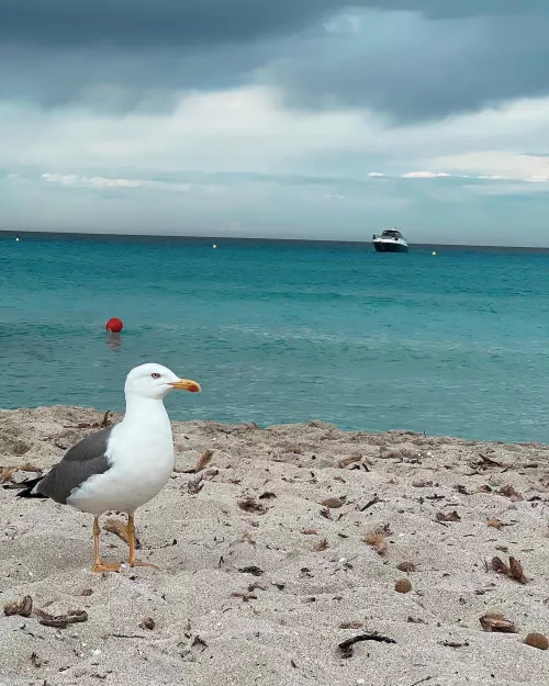 Formentera🇪🇸 by GinnaJaz