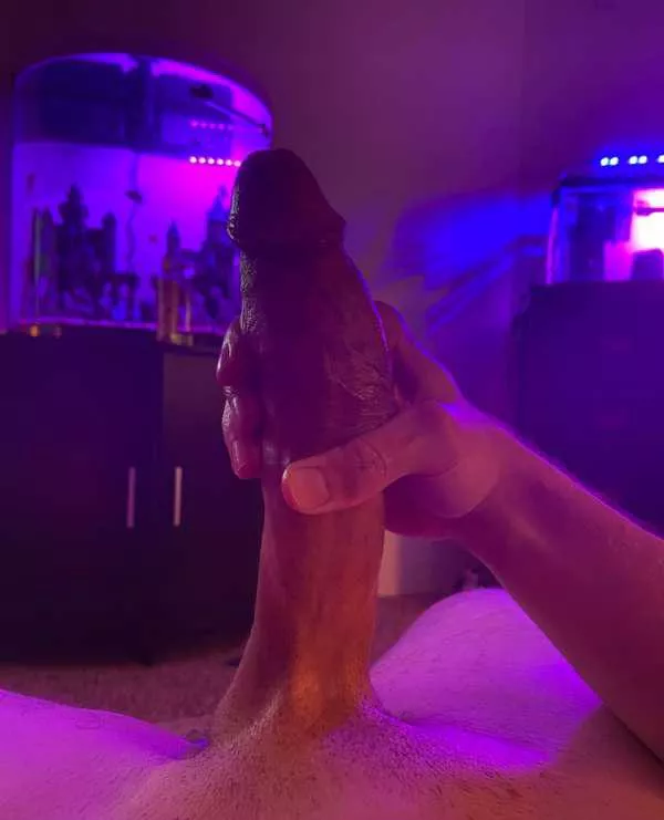 Free rides posted by madchowder24