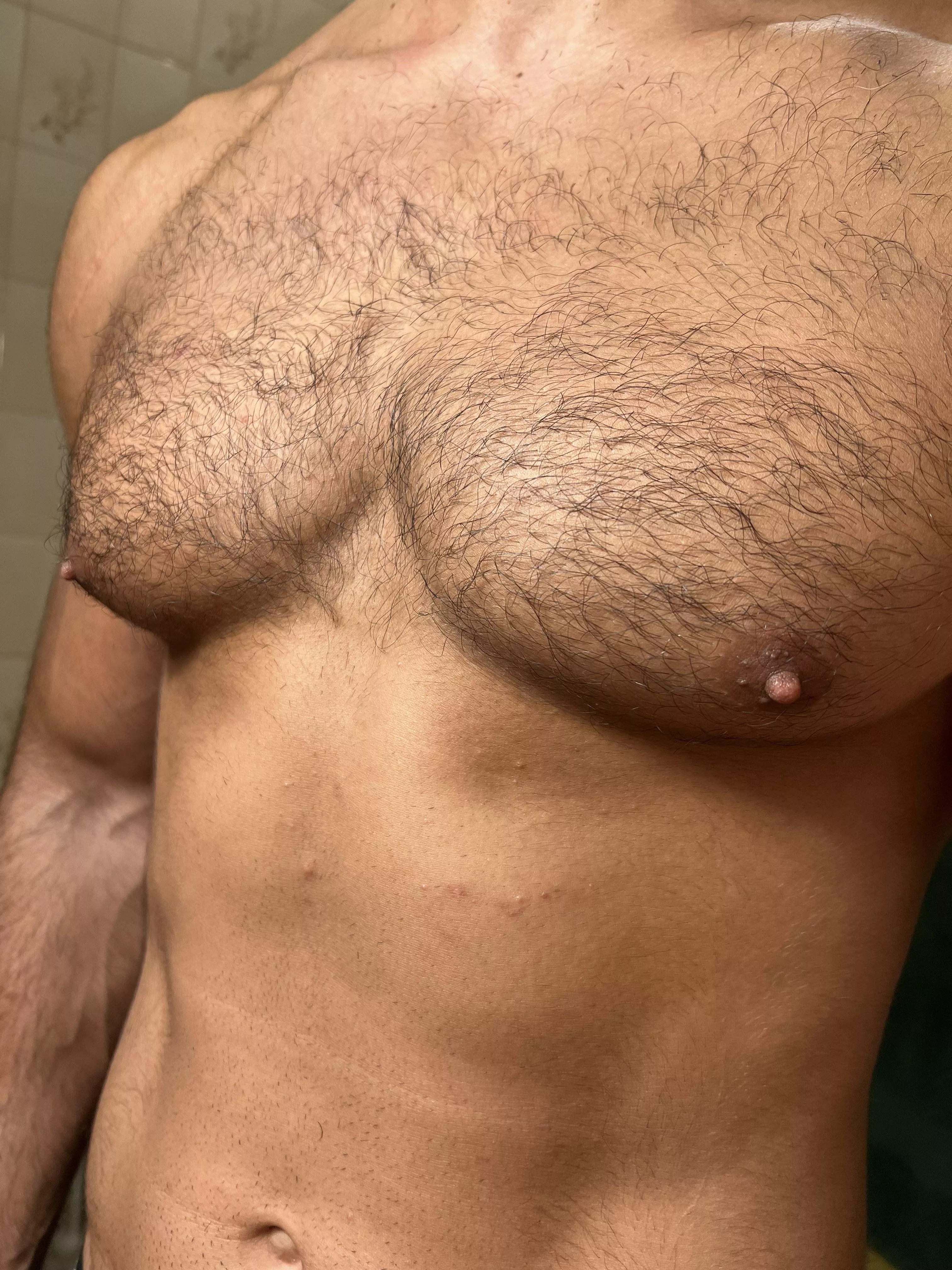 hairy chest and shaved stomach? posted by nicksunday7
