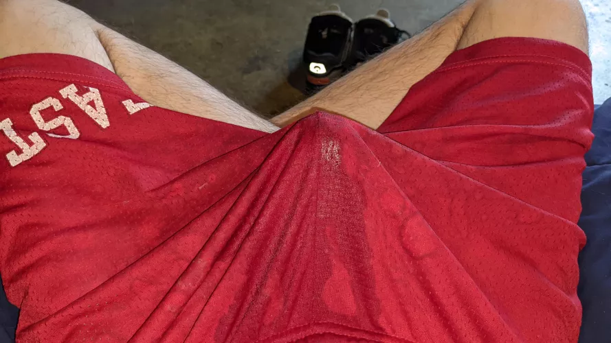 So I'm a 🐷🐕🐾 dare you to smell me. My gear is smelly. by delfly