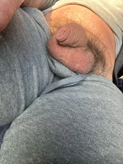 Sunny softie by According_Papaya378