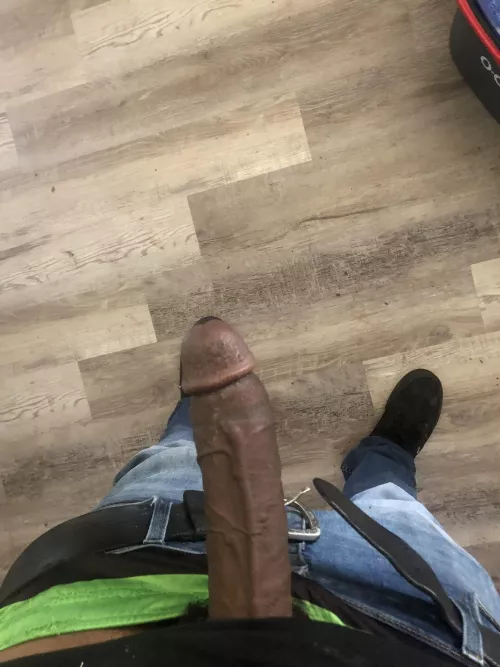 Alright who broke the law this time?? by Officer_Zachery