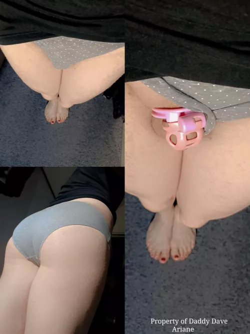 Ariane's mandatory morning verification. by Daddy_OG_Dave