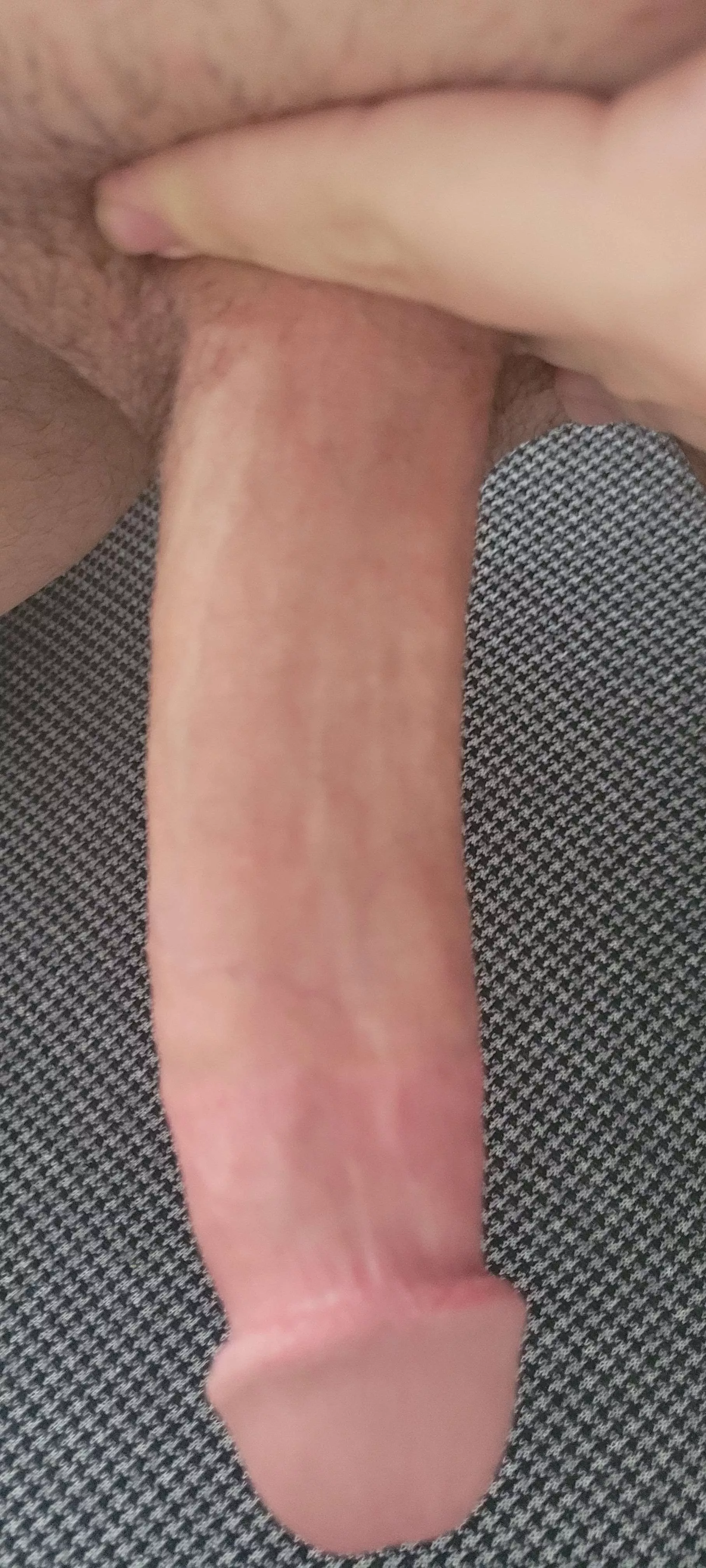 be honest would you suck it ? posted by sinirlih