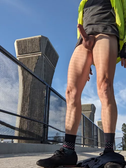 Beautiful morning  by Complex_Animal_4934