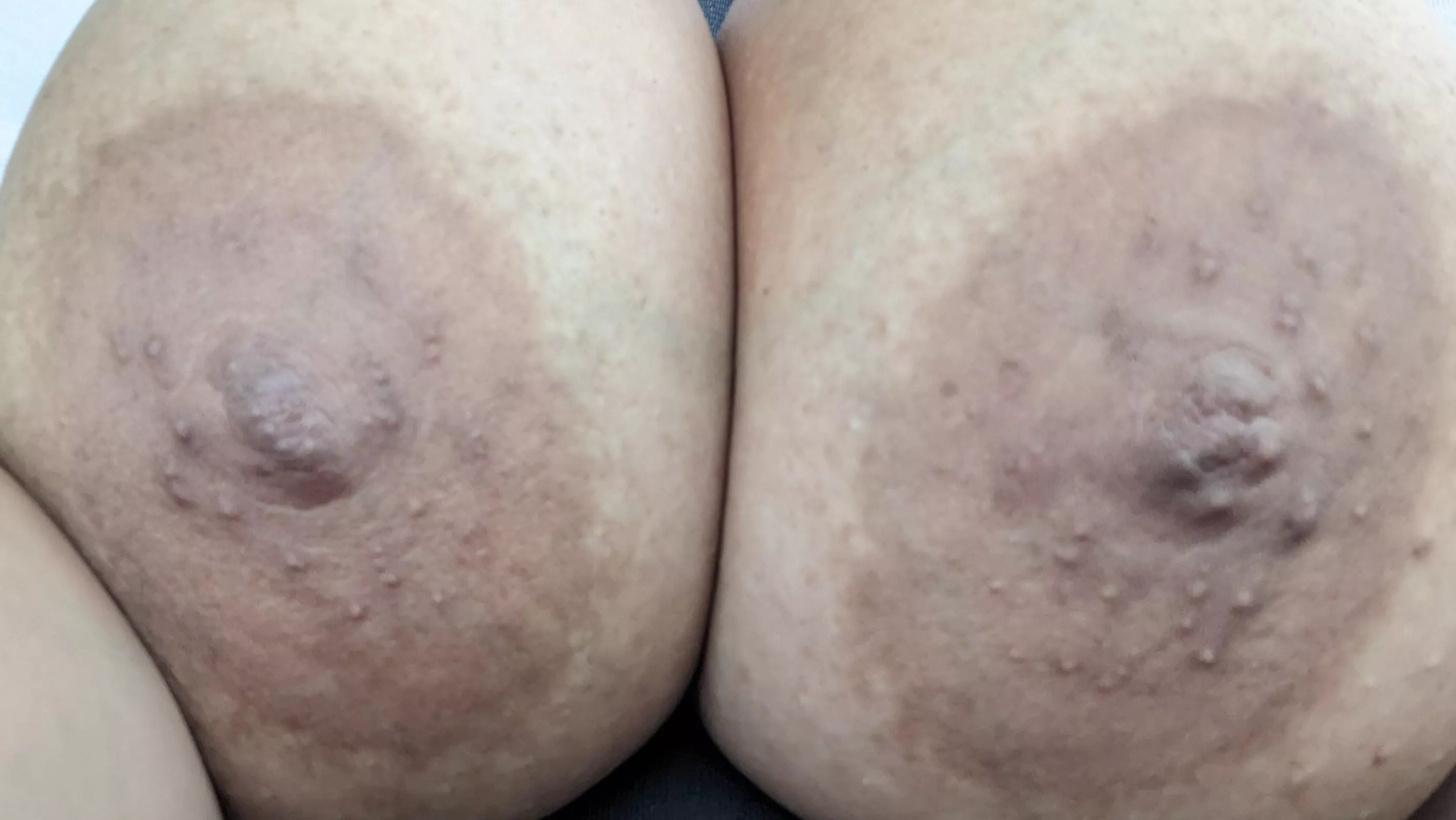 Big and brown and really close to the camera  posted by AutomatedSausage