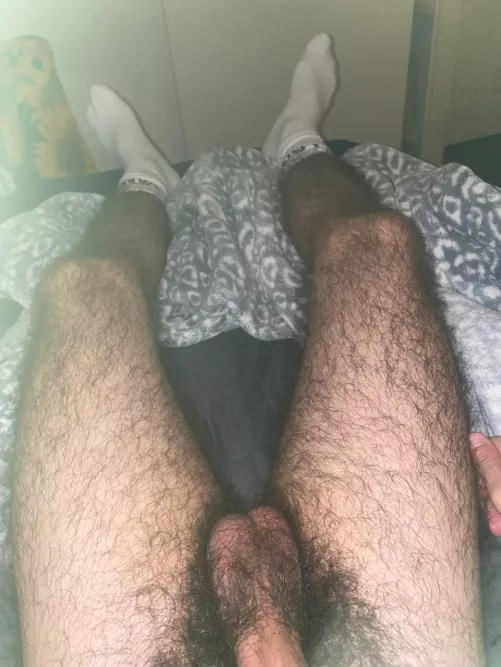 college otter here! any hairy men to chat :)? by reiliand