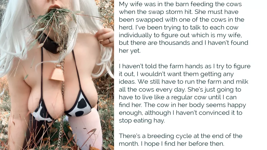 Cow Storm by Mountain_Son