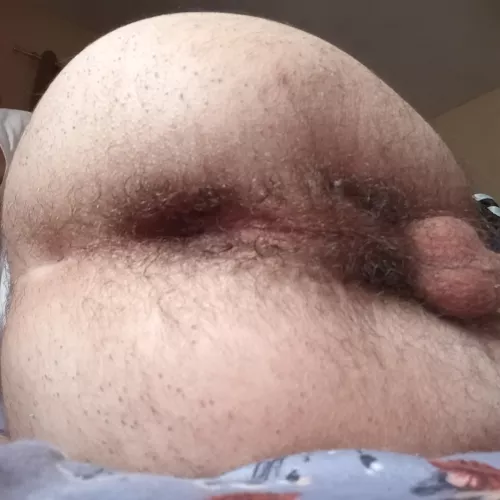 cum play with my hairy hole  by Practical_Phrase_720