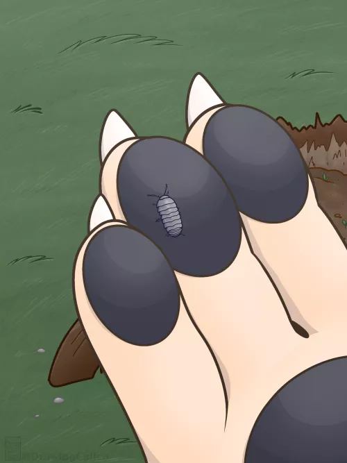 Found a Rolly Polly  by Correct_Pension8490